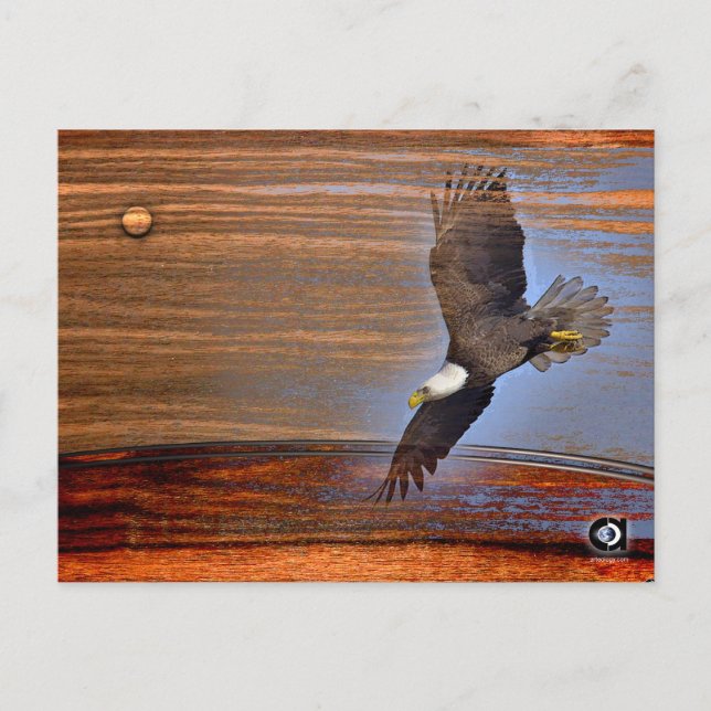 POSTAL BALD EAGLE (Anverso)