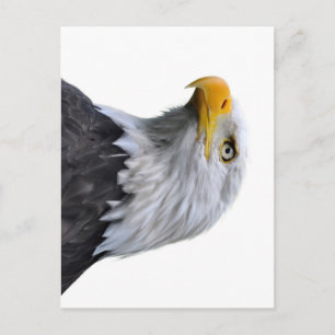 Postal Bald Eagle