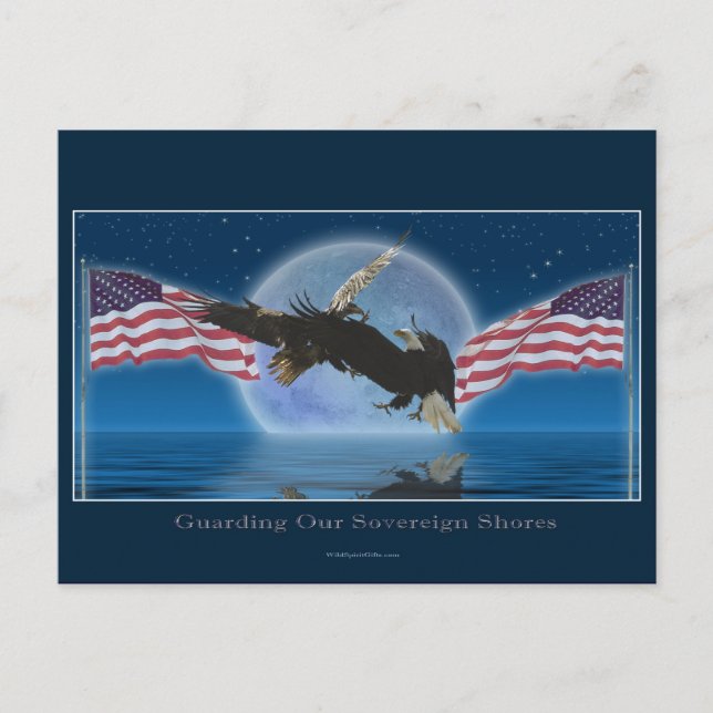 Postal BALD EAGLE y US FLAG Patriot Series (Anverso)