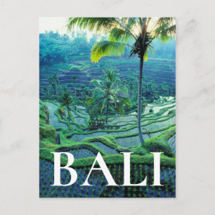Postal Bali   Descripción general de las terrazas de arro