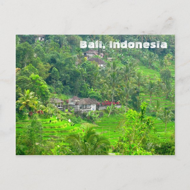 Postal Bali, Indonesia (Anverso)