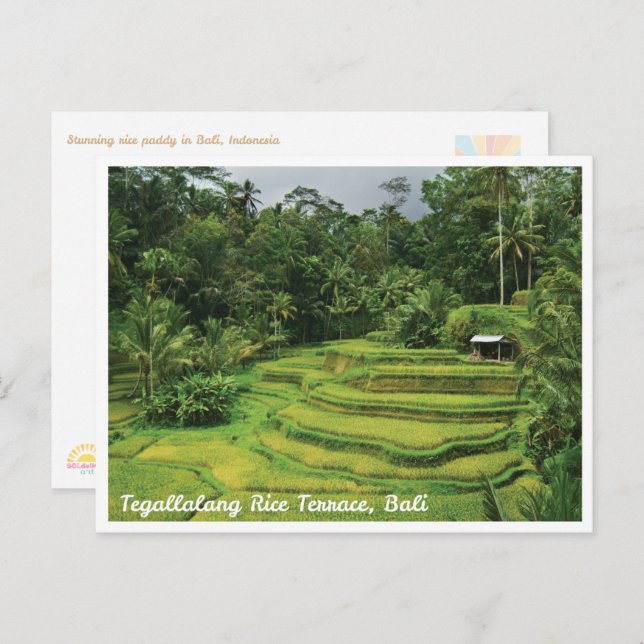 Postal Bali Rice Terraces Scenic Travel Postcard (Anverso / Reverso)