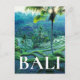Postal Bali | Visión General De Las Terrazas De Arroz (Anverso)
