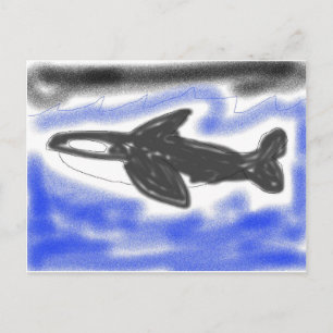 Postal Ballena asesina