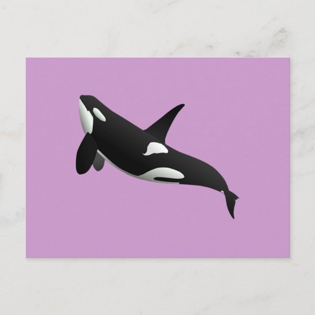 Postal Ballena asesina, Orcinus Orca (Anverso)