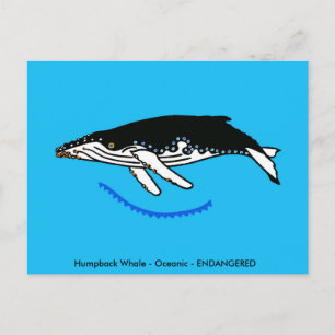 Postal BALLENA de joroba - Vida silvestre - Naturaleza -