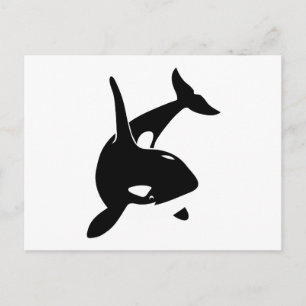 Postal ballena delphin schwertwal