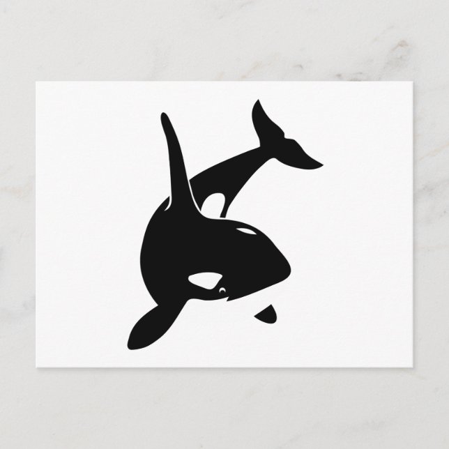 Postal ballena delphin schwertwal (Anverso)
