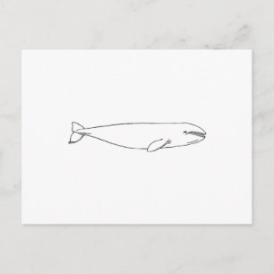 Postal Ballena gris de California