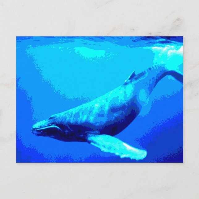 Postal Ballena jorobada (Anverso)
