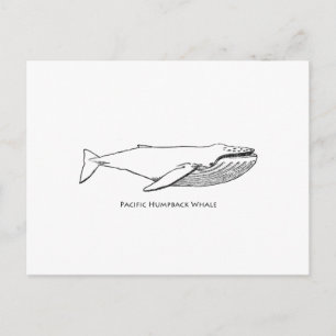 Postal Ballena jorobada del Pacífico