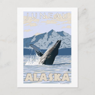Postal Ballena jorobada - Juneau, Alaska