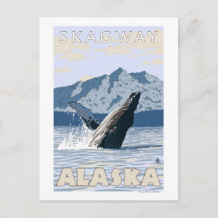 Postal Ballena jorobada - Skagway, Alaska