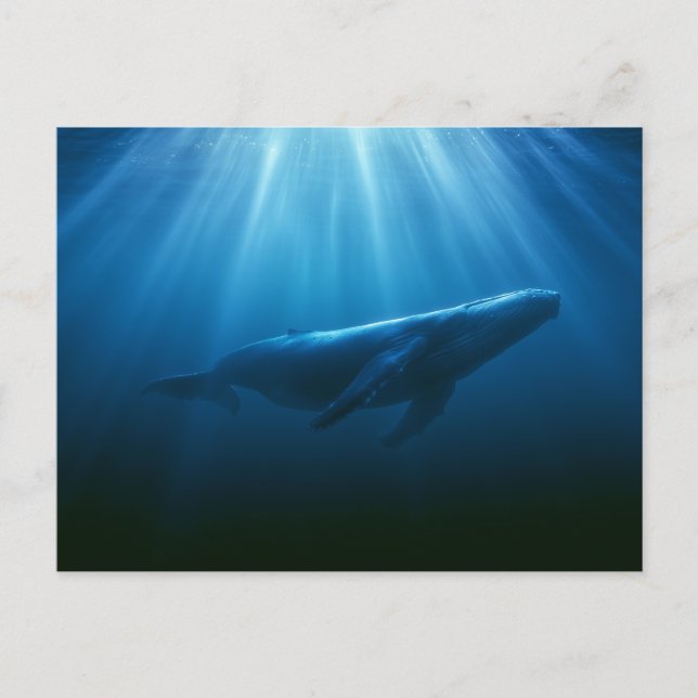 Postal Ballena jorobada submarina (Anverso)