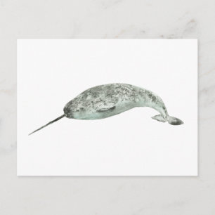 Postal Ballena narval acuarela