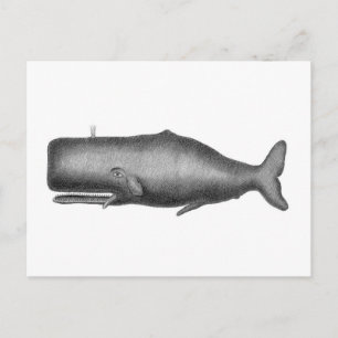 Postal Ballena vintage