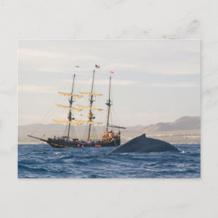 Postal Ballena y barco de jorobada