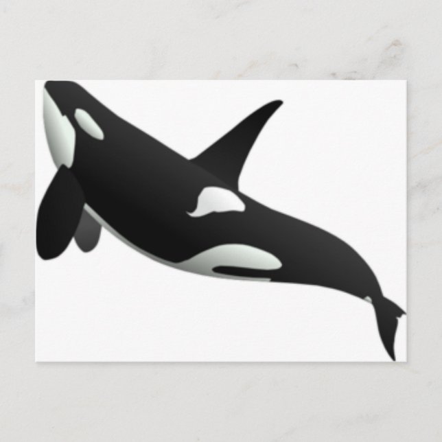 Postal Ballenas (Anverso)