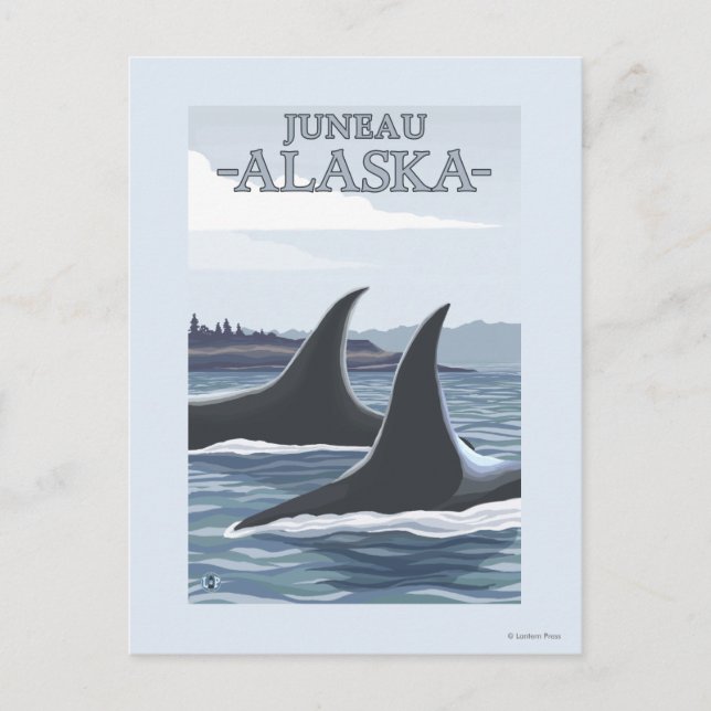 Postal Ballenas #1 - Juneau, Alaska de la orca (Anverso)