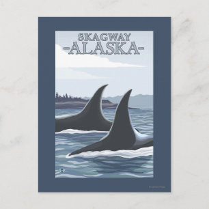 Postal Ballenas #1 - Skagway, Alaska de la orca