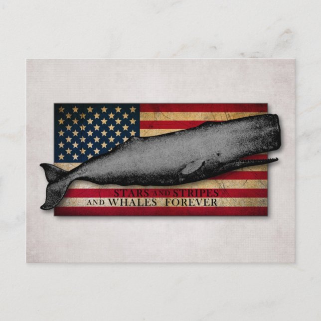 Postal Ballenas antiguas y ballenas con bandera estadouni (Anverso)