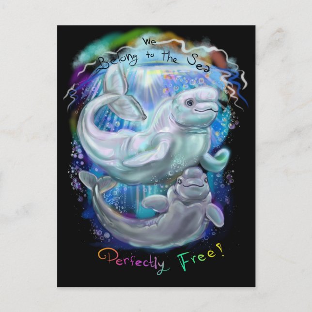 Postal Ballenas de Beluga (Anverso)