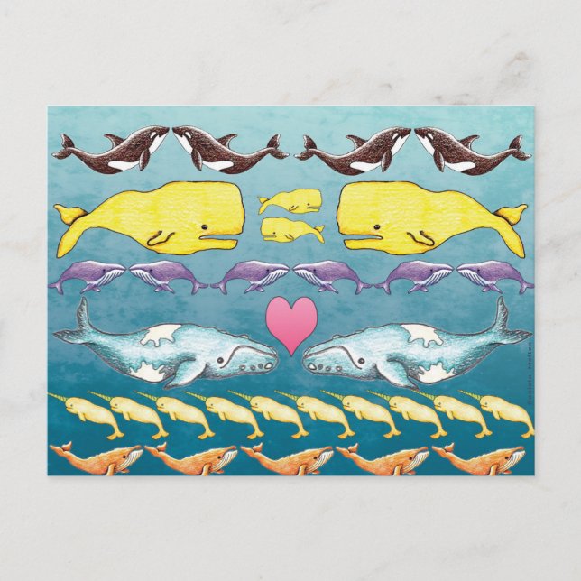 Postal Ballenas del mar (Anverso)