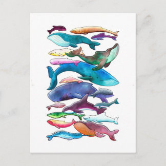Postal Ballenas, delfines y marsopas