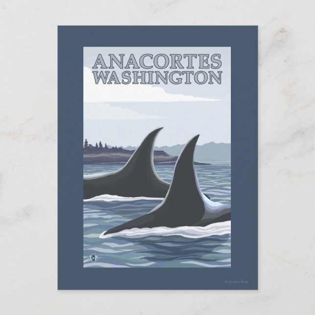 Postal Ballenas Orca #1 - Anacortes, Washington (Anverso)