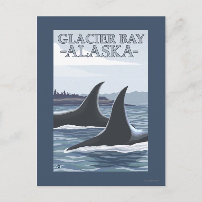 Postal Ballenas Orca #1 - Bahía Glaciar, Alaska (Anverso)