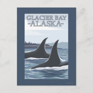 Postal Ballenas Orca #1 - Bahía Glaciar, Alaska