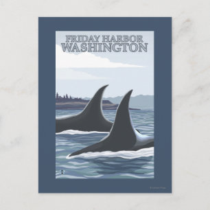 Postal Ballenas Orca #1 - Puerto del viernes, Washington