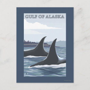 Postal Ballenas orcas #1 - Golfo de Alaska