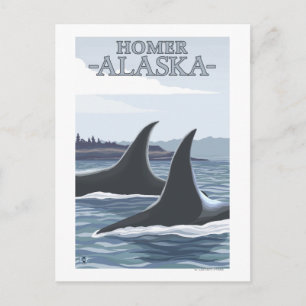 Postal Ballenas Orcas #1 - Homero, Alaska