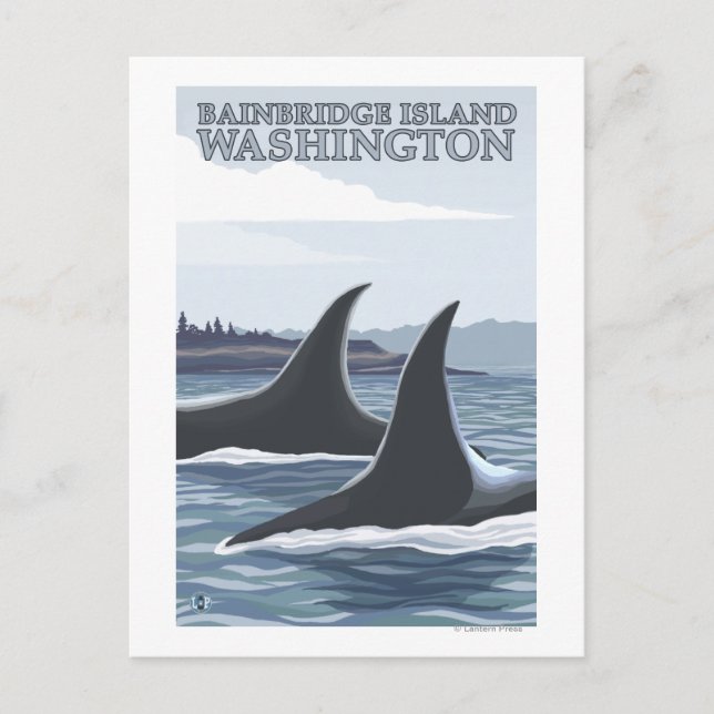 Postal Ballenas Orcas #1 - Isla Bainbridge, Washington (Anverso)