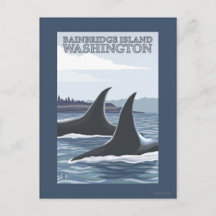 Postal Ballenas Orcas #1 - Isla Bainbridge, Washington