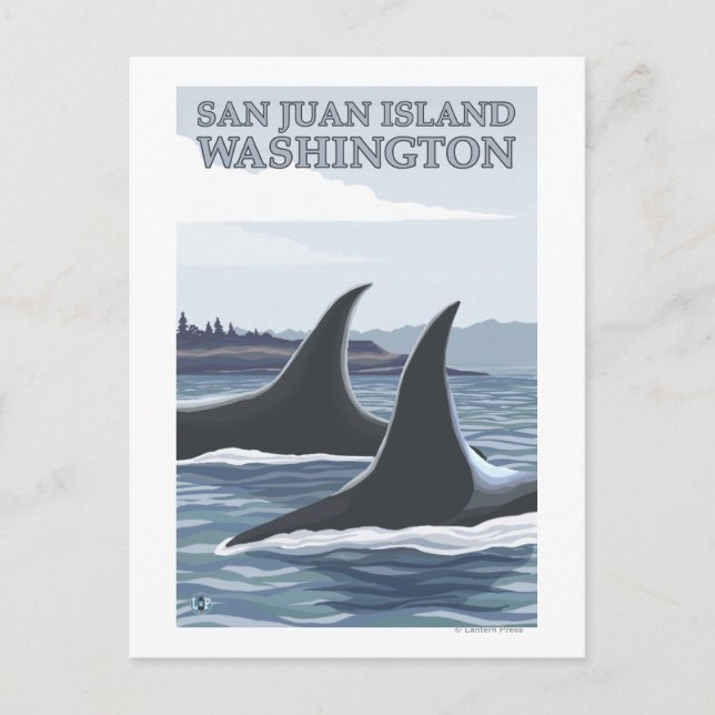 Postal Ballenas Orcas #1 - Isla San Juan, Washington (Anverso)