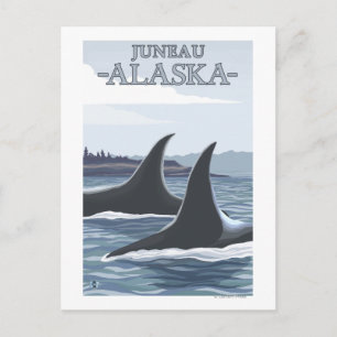 Postal Ballenas orcas #1 - Juneau, Alaska