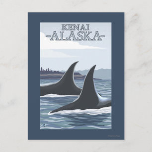 Postal Ballenas Orcas #1 - Kenai, Alaska