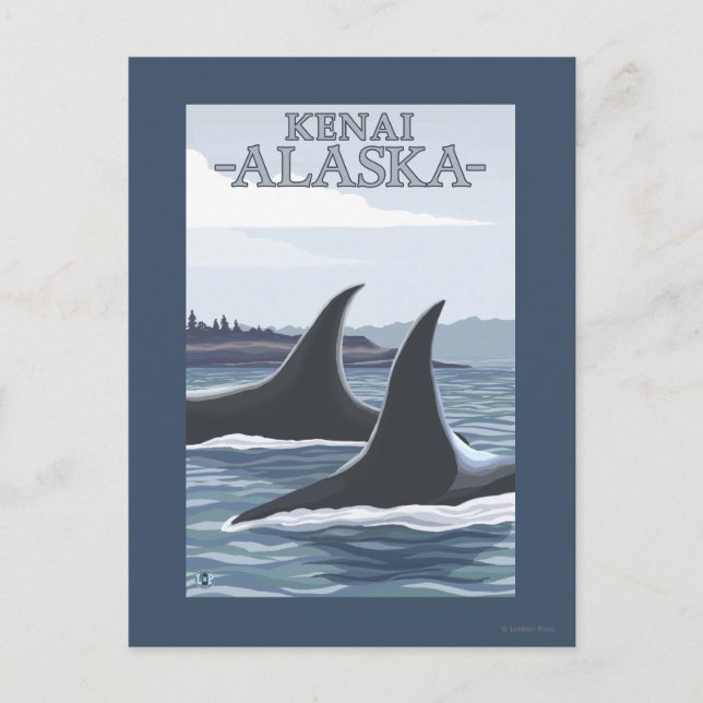 Postal Ballenas Orcas #1 - Kenai, Alaska (Anverso)