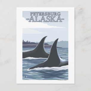 Postal Ballenas orcas #1 - Petersburgo, Alaska