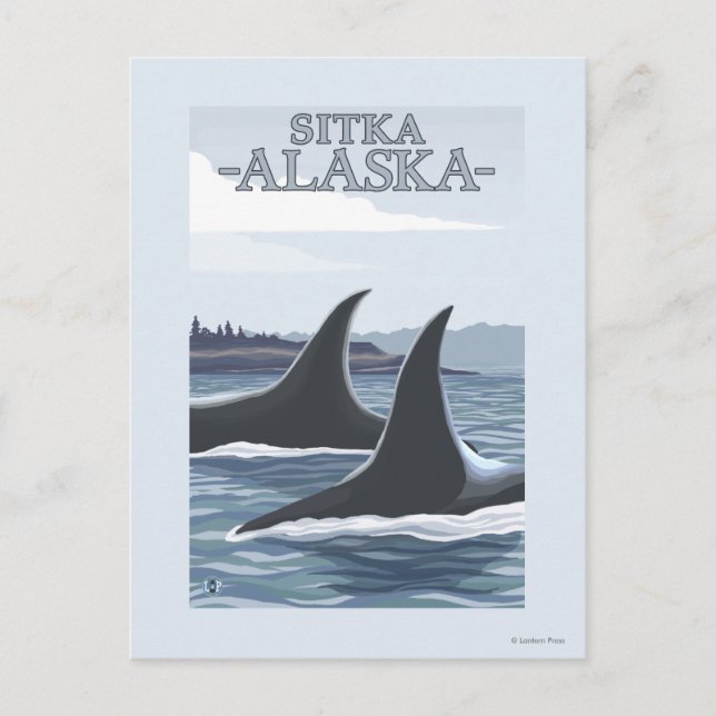 Postal Ballenas orcas #1 - Sitka, Alaska (Anverso)
