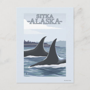 Postal Ballenas orcas #1 - Sitka, Alaska