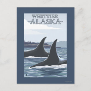 Postal Ballenas Orcas #1 - Whittier, Alaska