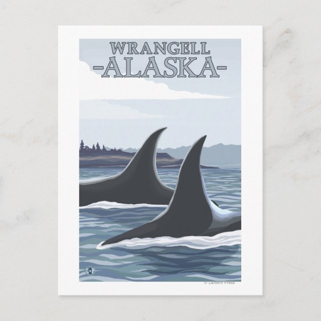 Postal Ballenas Orcas #1 - Wrangell, Alaska (Anverso)