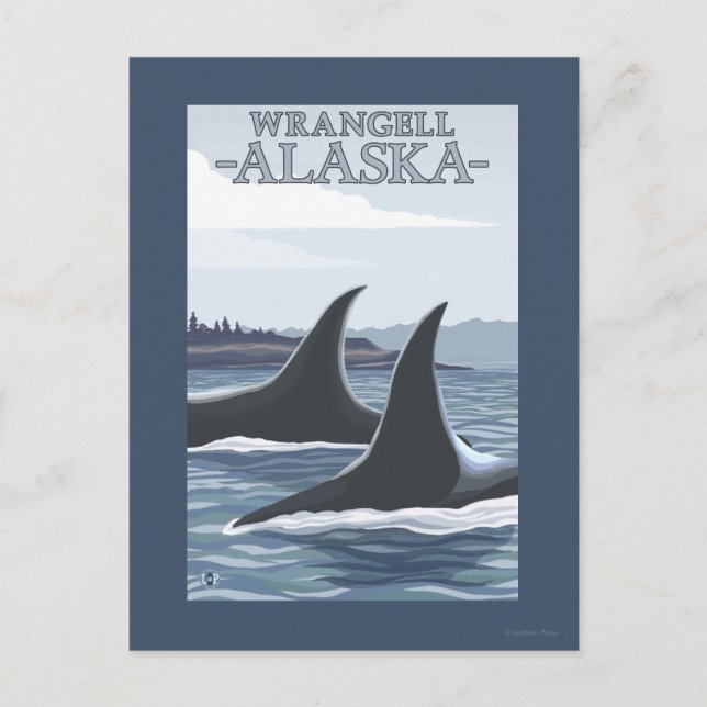 Postal Ballenas Orcas #1 - Wrangell, Alaska (Anverso)
