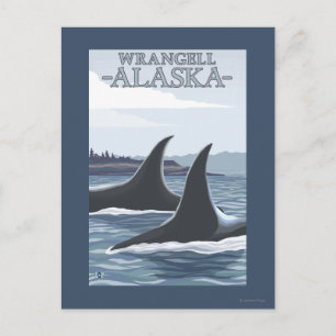 Postal Ballenas Orcas #1 - Wrangell, Alaska
