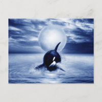 Ballenas y luna en 2012
