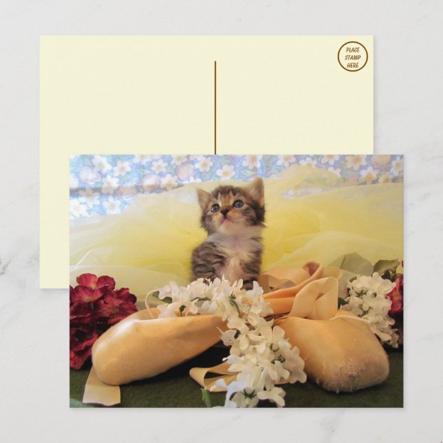 Postal Ballerina Kate Cat / Postcard Kitten (Anverso / Reverso)