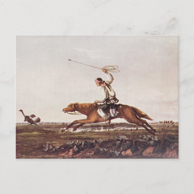 Postal Balling Ostriches (Anverso)